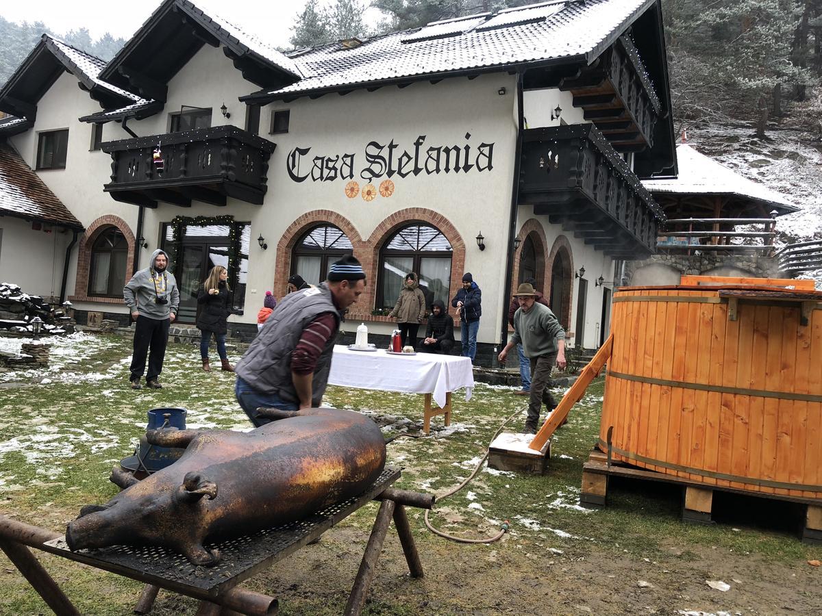 Casa Stefania Otel Tălmaciu Dış mekan fotoğraf
